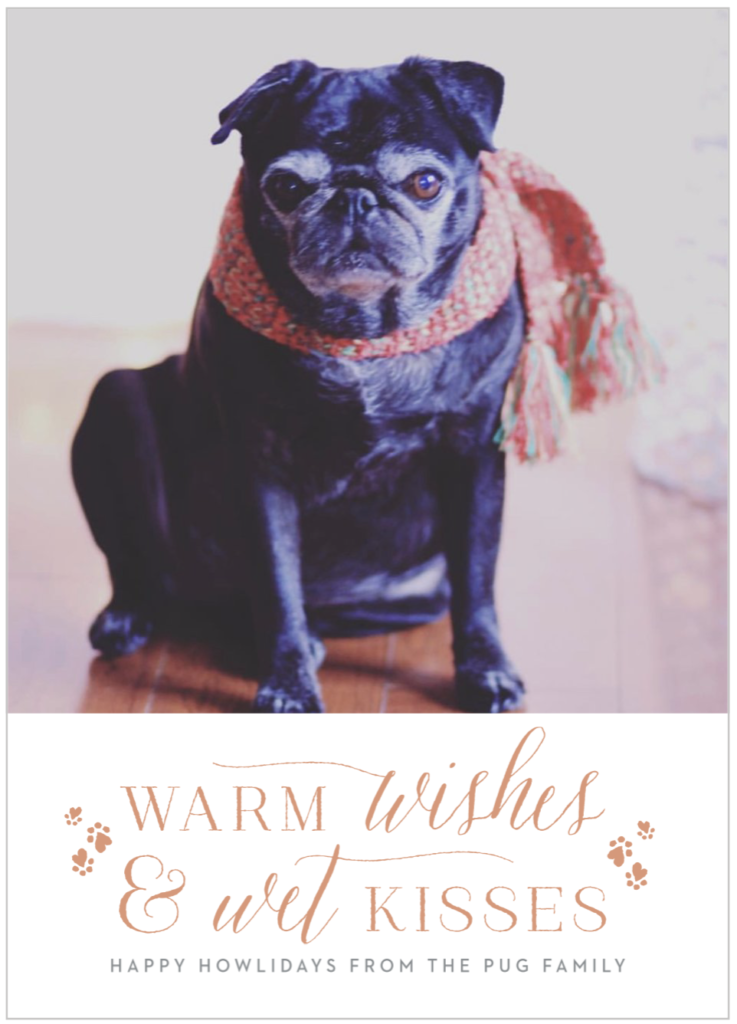 cutest holiday cards