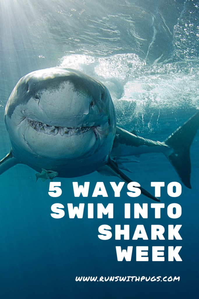 swim into shark week